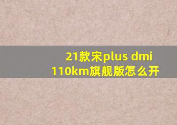 21款宋plus dmi 110km旗舰版怎么开